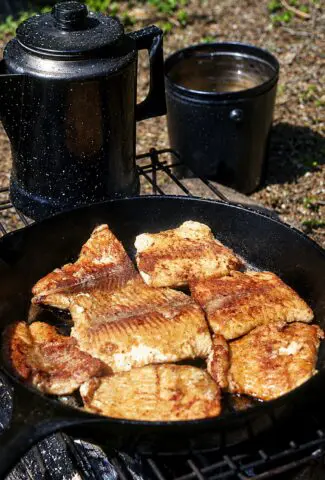 Camping Salmon in Cast Iron