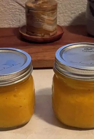 Mild Mango Dessert Sauce